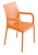 iris_b.png
