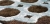 5b1d693fcaa35e92a00635ccd6697a02